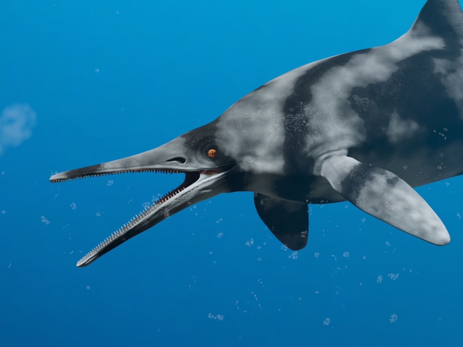 Pravěký mořský plaz Ophthalmosaurus ukazuje čelisti s řadami zubů.